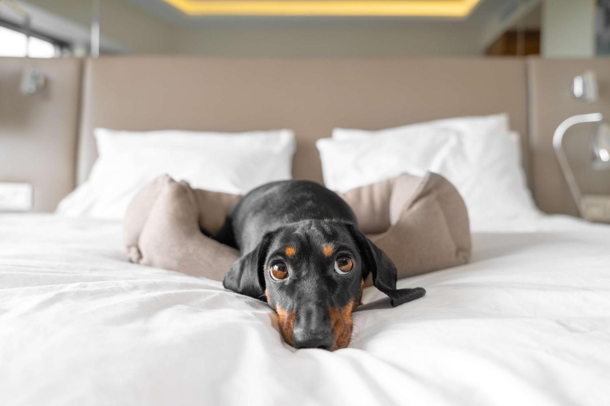 Hilton Anatole Hotel Dallas Luaran gambar